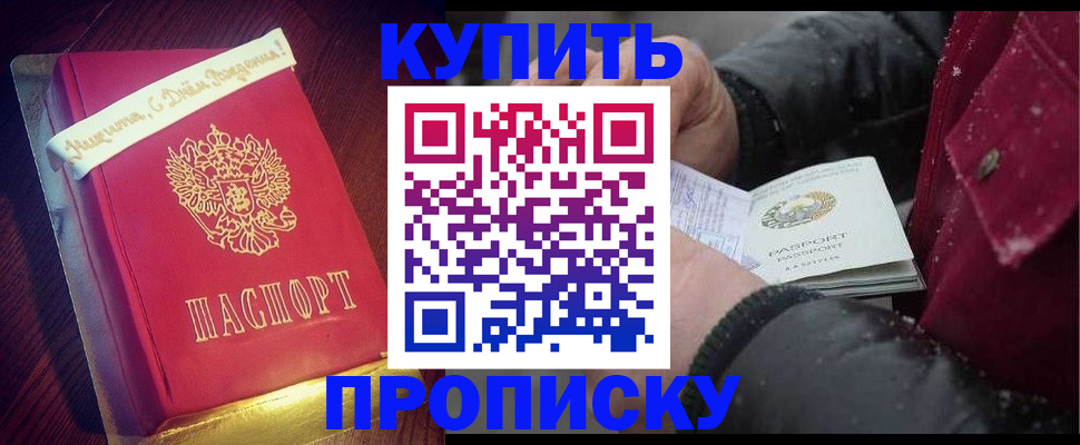 прописка гарантия в Апатитах